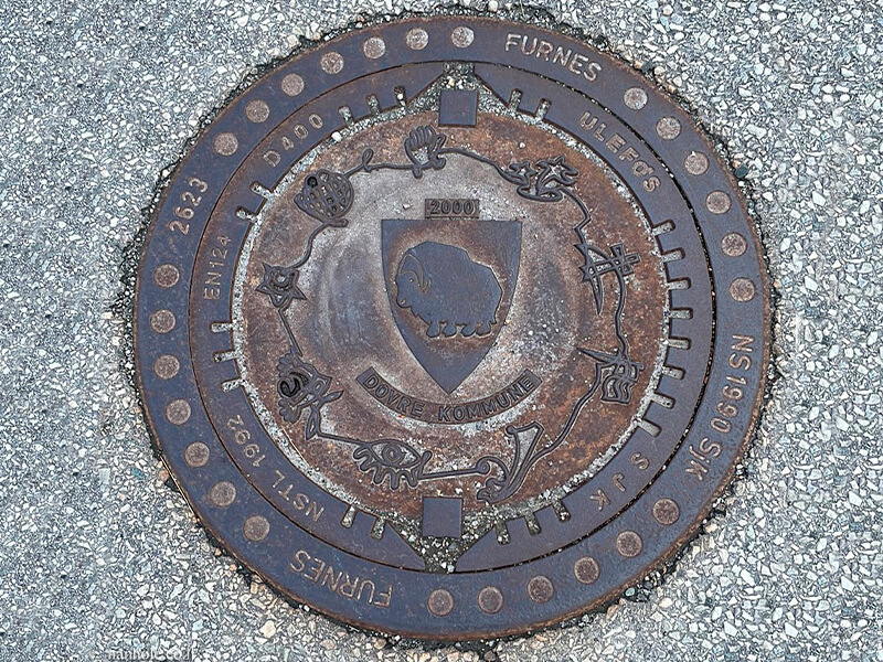 Дизайнерский чугунный люк в Домбосе